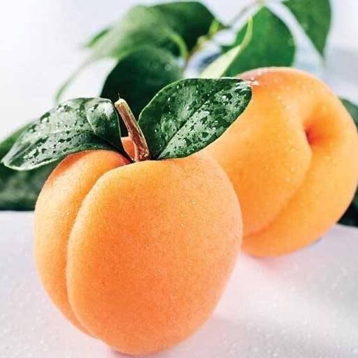 Абрикосовый конфитюр