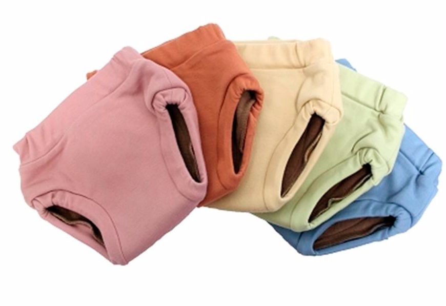 Отличия старой и новой моделей тренировочных трусиков Ecoposh