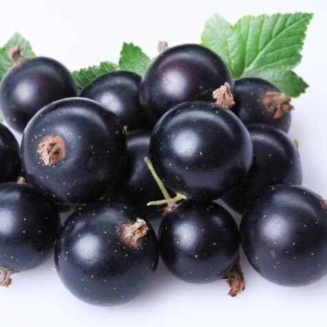 Черная смородина перетертая с сахаром.